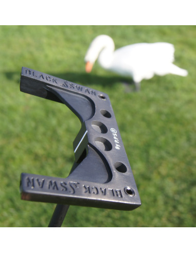 BLACK SWAN - self standing + Zero Torque